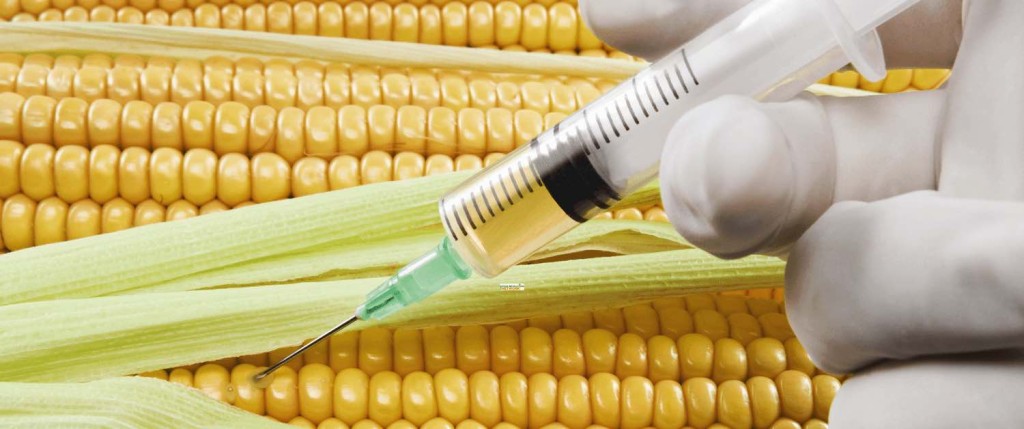 Injected Corn